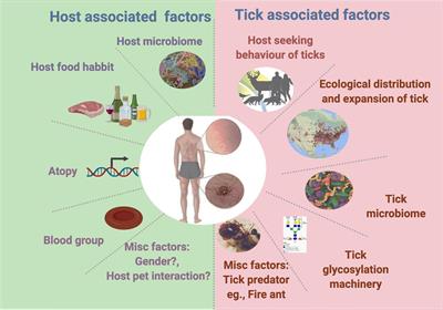 Tick Saliva and the Alpha-Gal Syndrome: Finding a Needle in a Haystack